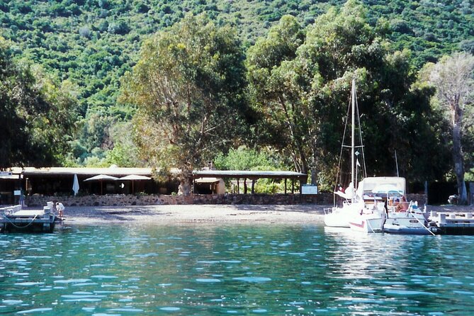 Friendly Discovery of Scandola Calanques De Piana and Meal Stop at Girolata - The Sum Up