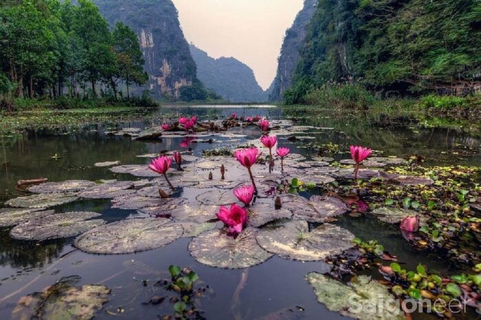 Friendly Travel: Ninh Binh/ Hoa Lu & Tam Coc/ Full Service - Dining Experience