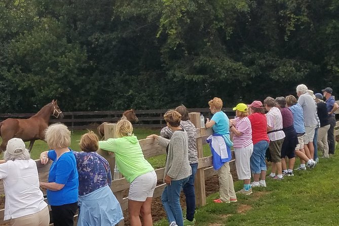 Friesian Herd Tours, Workshops, Classes and Retreats in the Kettle Moraine Area. - Hands-On Workshops