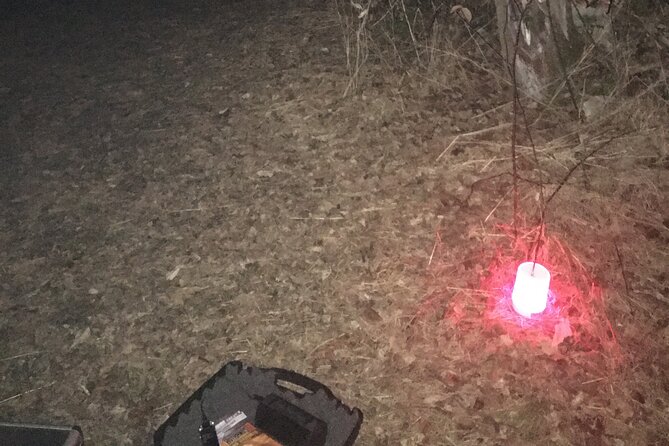 Fright Night Investigation: Small Group St. Augustine - Common Questions