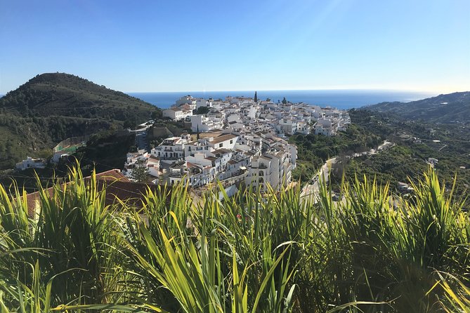 Frigiliana Small-Group Hike and Wine Tasting Tour From Malaga - Cancellation Policy and Refund Options