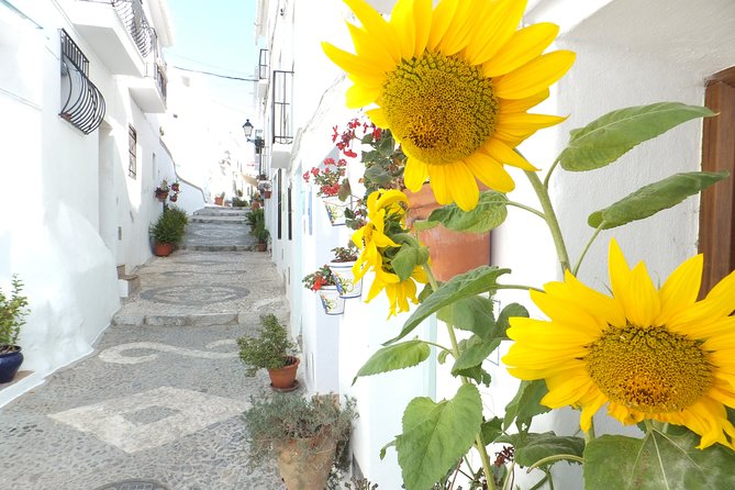 Frigiliana Small-Group Hike and Wine Tasting Tour From Malaga - The Sum Up