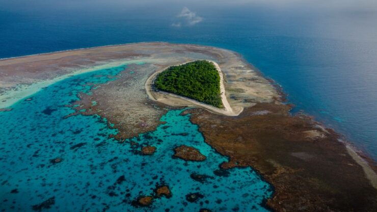 From 1770: Lady Musgrave Island Snorkelling Day Cruise - Activity Details