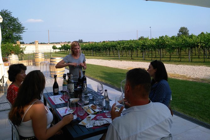 From Abano Montegrotto, Wine Tour in the Euganean Hills - Wine Tasting Experience