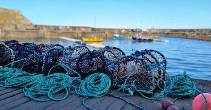 From Aberdeen: Coastal Villages of Aberdeenshire Tour - Tour Details