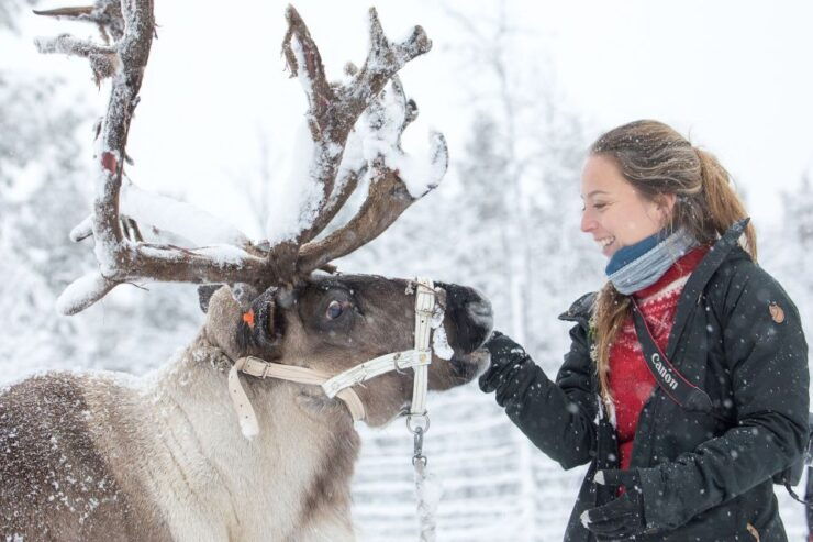 From Abisko/Björkliden: Jukkasjärvi Sami and Reindeer Tour - Activity Details