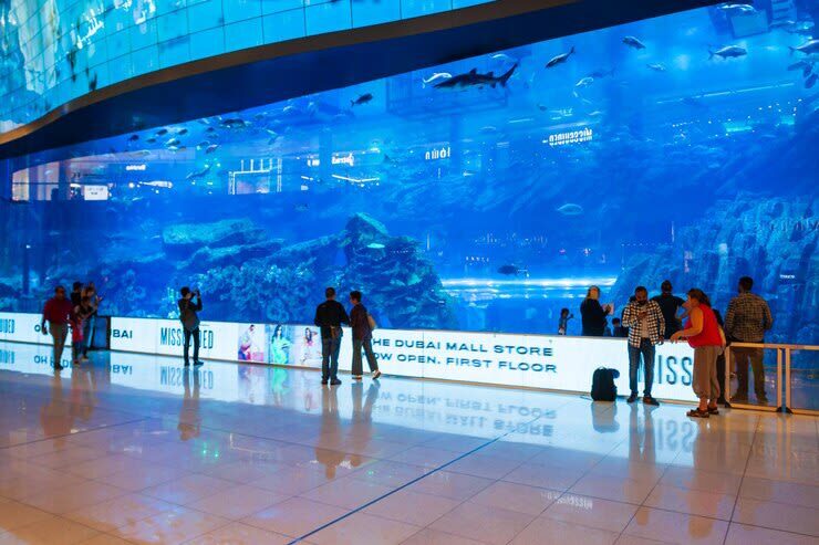 From Abu Dhabi: Dubai Full-Day City & Sightseeing Tour - Who Will Get the Most From This Tour?