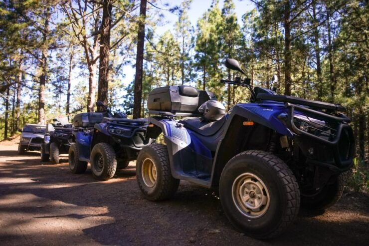 From Adeje: Mt. Teide Forest Off-Road Quad Tour - Experience Highlights