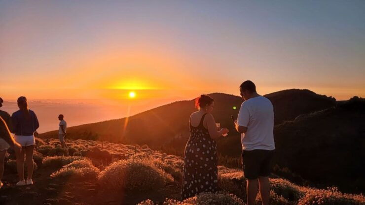 From Adeje: Private Wine Tasting With Tapas and Sunset View - Experience Highlights