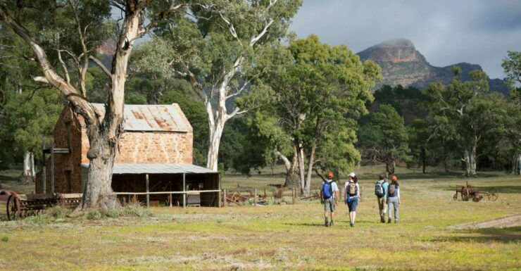 From Adelaide: 5-Day Ikara-Flinders Ranges Hiking Tour - Tour Details