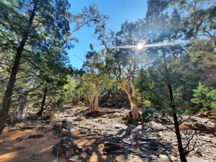 From Adelaide: 5-Day Ikara-Flinders Ranges Hiking Tour - Experience Highlights