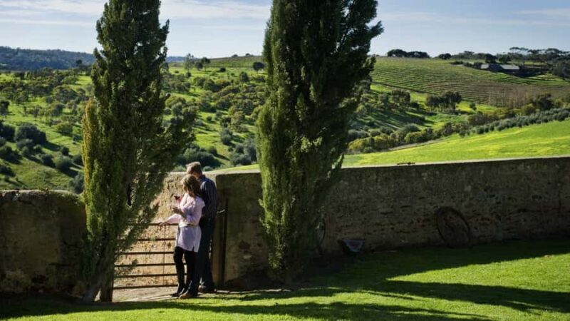 From Adelaide: Boutique McLaren Vale Wine Tour with Lunch - What Makes This Tour Special?