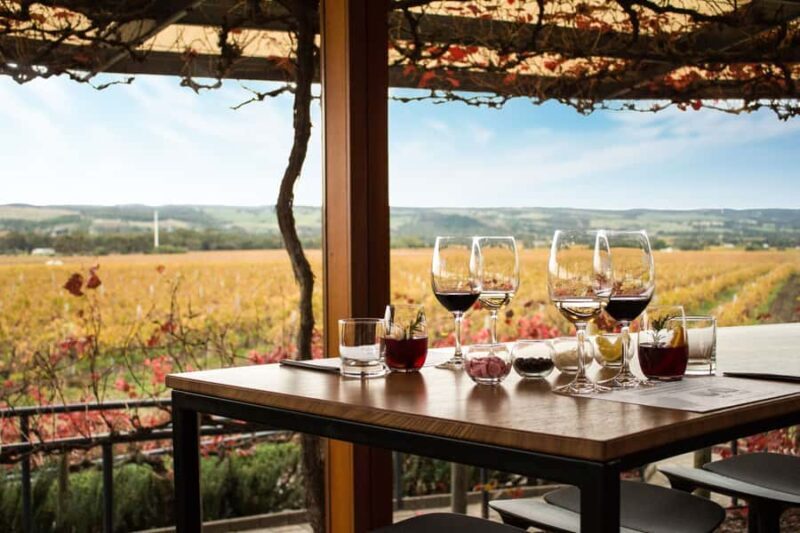 From Adelaide: Boutique McLaren Vale Wine Tour with Lunch - Who Is This Tour Best For?