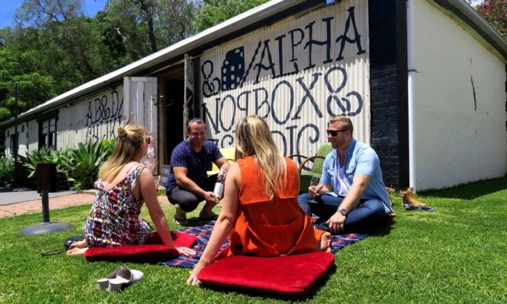 From Adelaide: Boutique Mclaren Vale Wine Tour With Lunch - Tour Overview