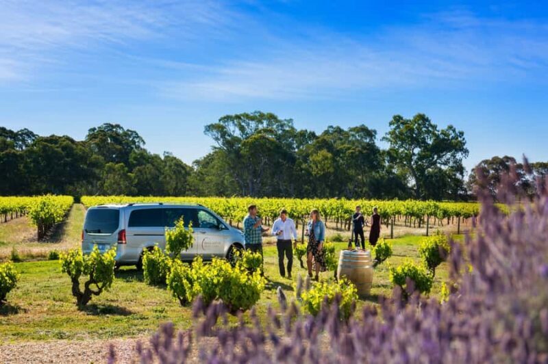 From Adelaide or Barossa: Boutique Barossa Valley Wine Tour - Authenticity & Attention to Detail