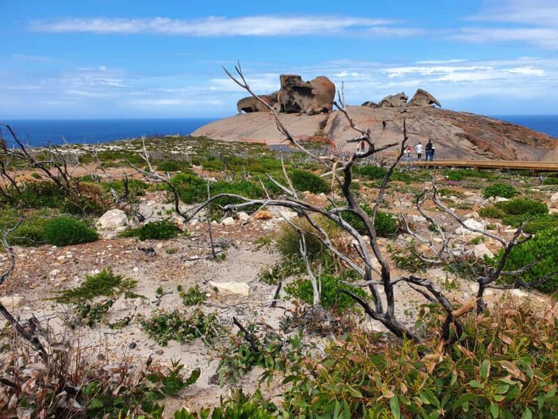 From Adelaide: Premium 2-Day Kangaroo Island Minibus Tour - FAQ