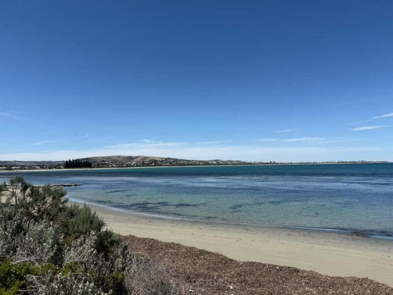 From Adelaide: South Australia Full-Day Tour - Transport & Group Size