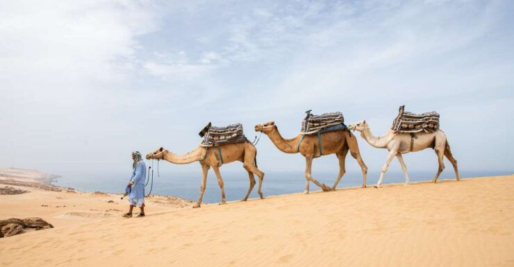 From Agadir: 44 Jeep Desert Safari With Lunch and Pickup - Experience Highlights