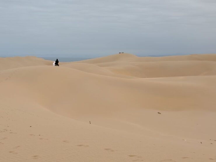 From Agadir: 44 Jeep Sahara Desert Tour With Lunch - Activity Details