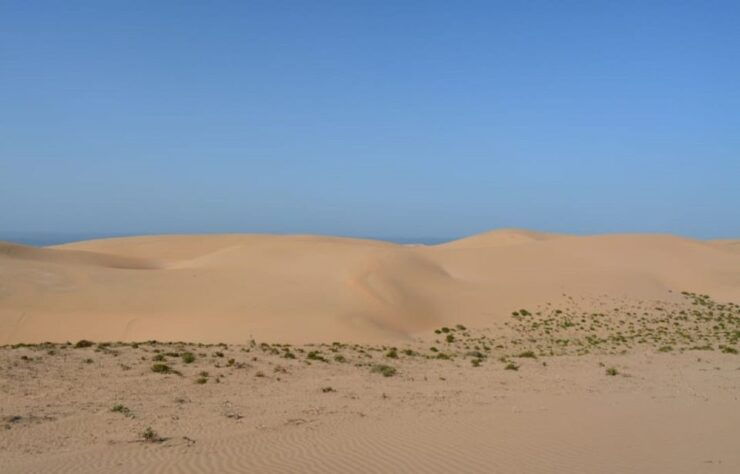 From Agadir: 44 Jeep Sahara Desert Tour With Lunch - Experience Highlights