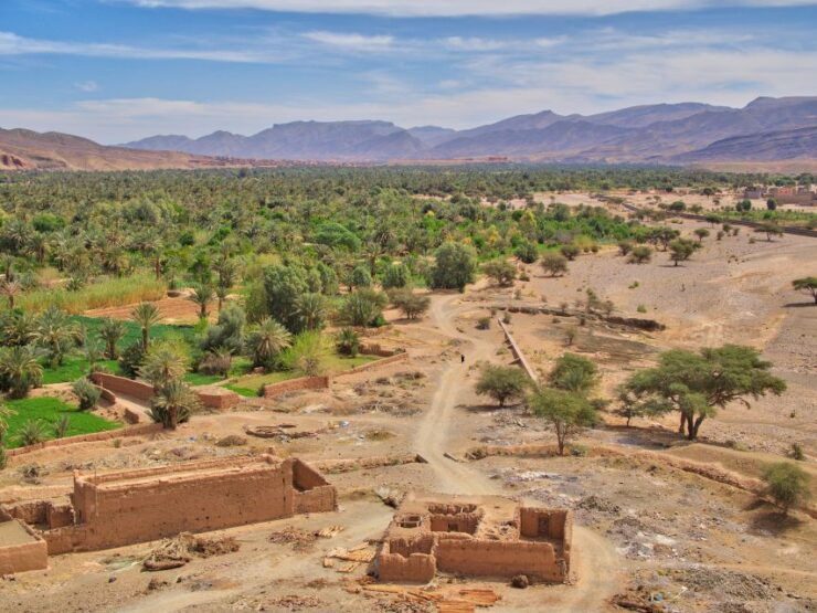 From Agadir: 44 Jeep Sahara Desert Tour With Lunch - Experience Highlights