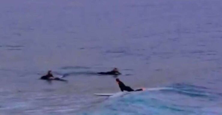 From Agadir: Beginner Surf Lesson With Transfer - Experience Highlights