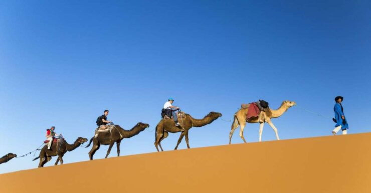 From Agadir: Camel Ride and Flamingo Trek - Activity Details