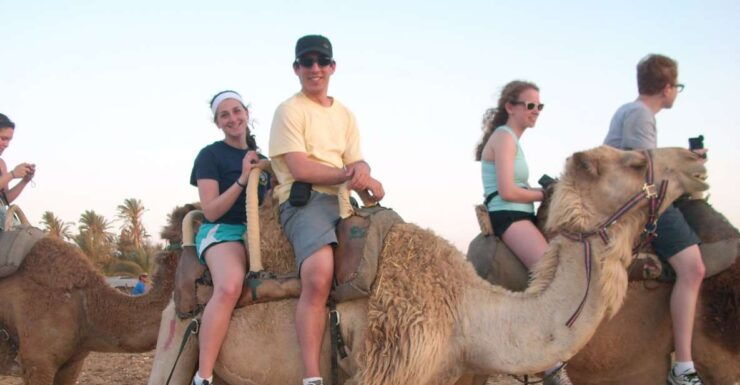 From Agadir: Camel Ride and Flamingo Trek - Activity Details