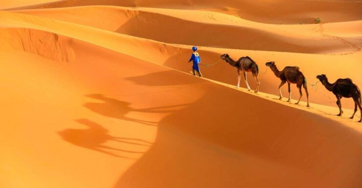 From Agadir: Camel Ride and Flamingo Trek - Experience