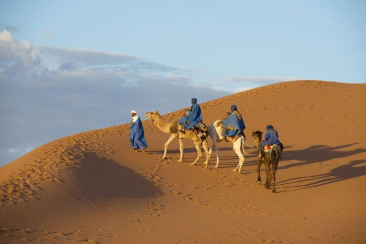 From Agadir: Camel Ride and Flamingo Trek - Experience Highlights