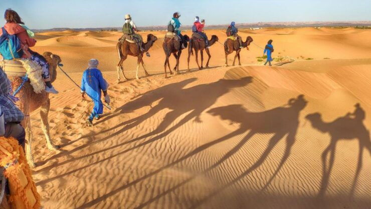 From Agadir: Camel Ride and Flamingo Trek - Experience Highlights