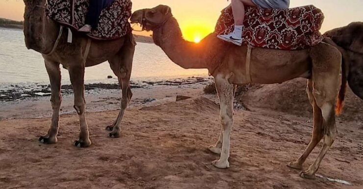 From Agadir Camel Ride Tour Adventure With Old Kasbat - Activity Highlights