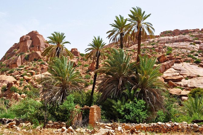 From Agadir Day Trip to Tafraout-Morocco Original- - Sightseeing Opportunities