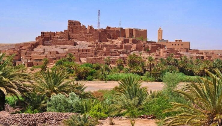From Agadir: Day Trip To Taroudant and Tiout Oasis - Activity Highlights