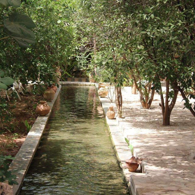 From Agadir: Full Day Trip To Taroudant & Tiout Oasis - Activity Details