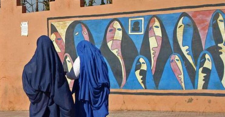 From Agadir: Half-Day Tour to Taroudant - Booking Details