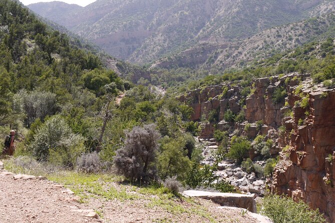 From Agadir Hotel or Port : Paradise Valley Trip - Trip Highlights