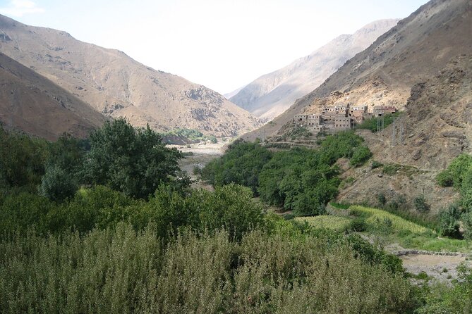 From Agadir Hotel or Port : Paradise Valley Trip - Transportation Details