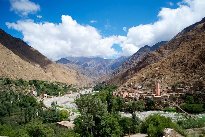 From Agadir Hotel or Port : Paradise Valley Trip - Traveler Reviews