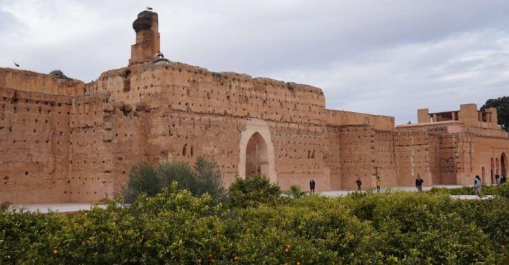 From Agadir: Marrakech Guided Trip With Licensed Tour Guide - Tour Experience