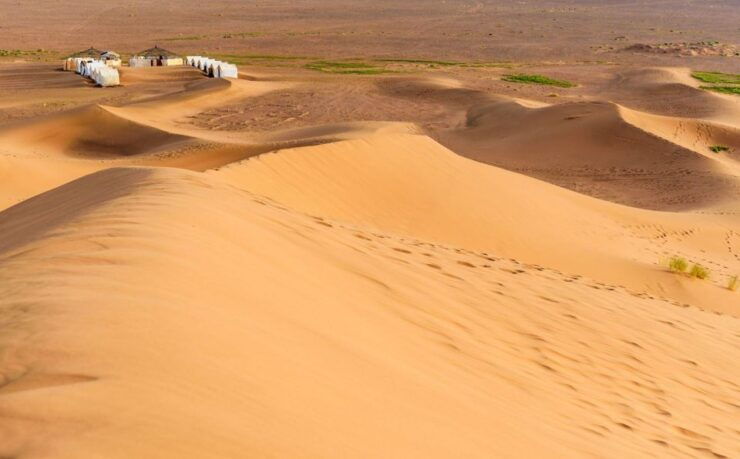 From Agadir or Taghazout: 2-Day Sahara Desert Tour to Zagora - Experience