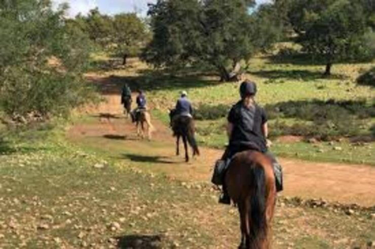 From Agadir or Taghazout: 2 Days Horse Riding Adventure - Experience