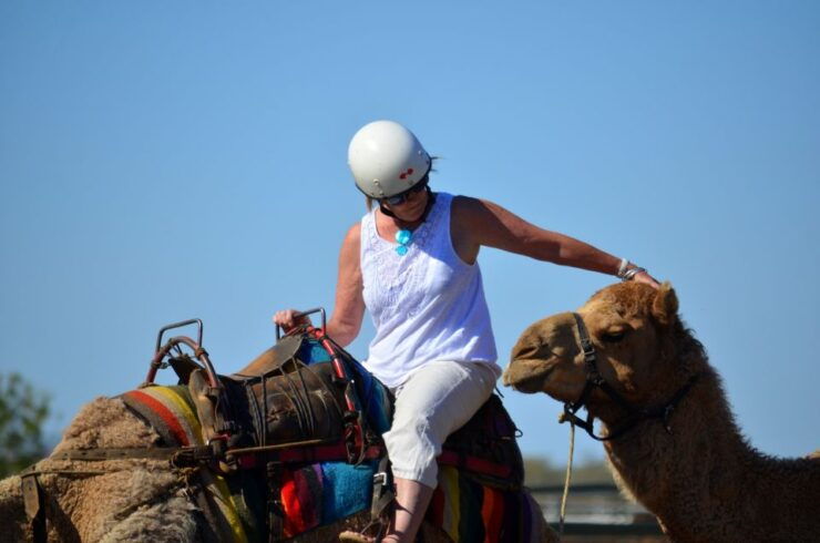From Agadir or Taghazout: Camel Ride and Flamingo River Tour - Activity Information