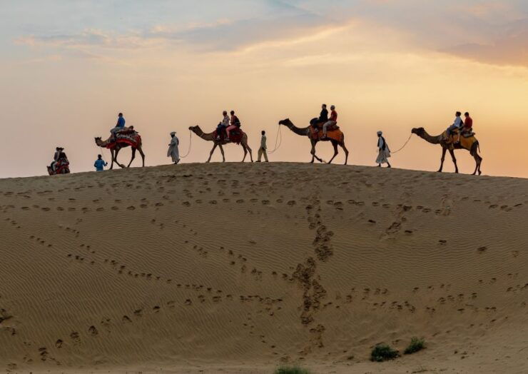From Agadir or Taghazout: Camel Ride and Flamingo River Tour - Experience Highlights