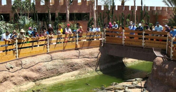 From Agadir or Taghazout: Crocoparc Trip With Entry Ticket - Activity Details
