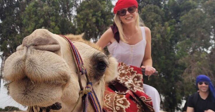 From Agadir or Taghazout: Flamingo River Camel Ride & Tea - Activity Details