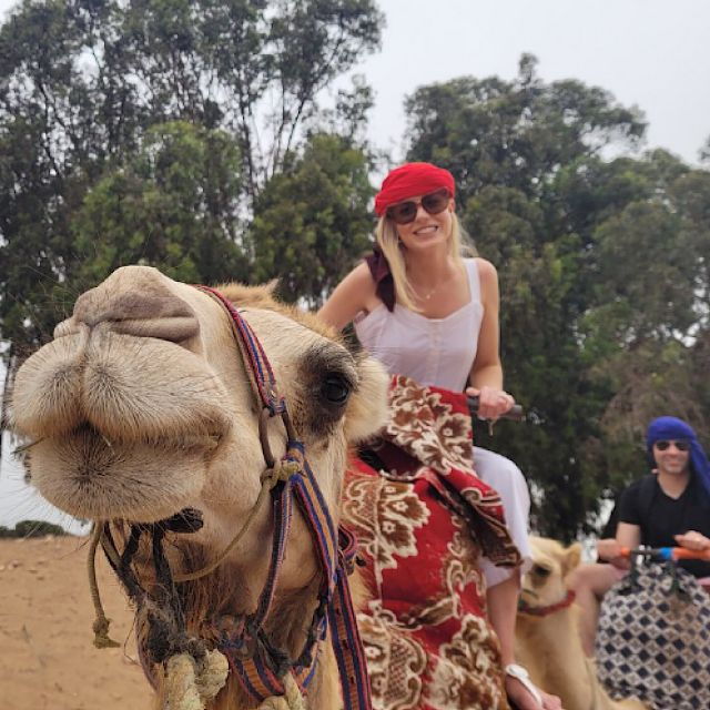 From Agadir or Taghazout: Flamingo River Camel Ride & Tea - Booking Information
