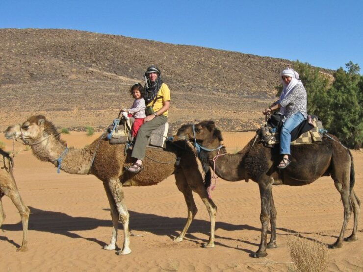 From Agadir or Taghazout: Flamingo River Camel Ride With Tea - Activity Information