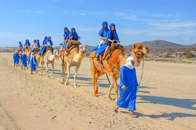 From Agadir or Taghazout or Port 2 Hours Camel Ride - Tour Details and Inclusions