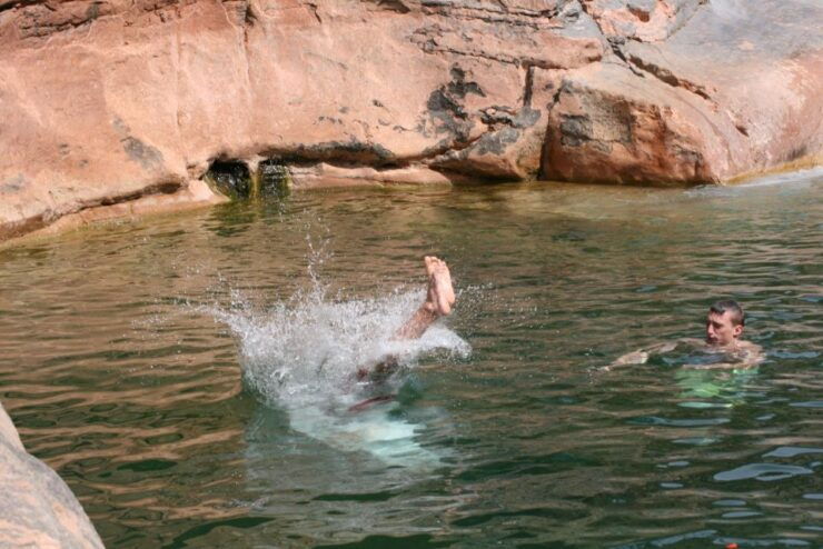 From Agadir or Taghazout: Paradise Valley Excursion - Pickup Information and Logistics